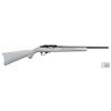 Image 1 : RUGER 10/22 22LR GRAY SYNTHETIC, New In Box, # 31139