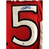 Image 2 : DANY HEATLEY SIGNED SENATORS JJERSEY (FRAMEWORTH COA)