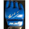 Image 2 : ANDERSON "THE SPIDER" SILVA SIGNED PRIDE GLOVE