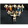 Image 1 : WRESTLING ACTION FIGURE LOT