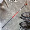 Image 1 : EXTENDABLE TREE PRUNER