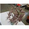 Image 2 : JADE TREE