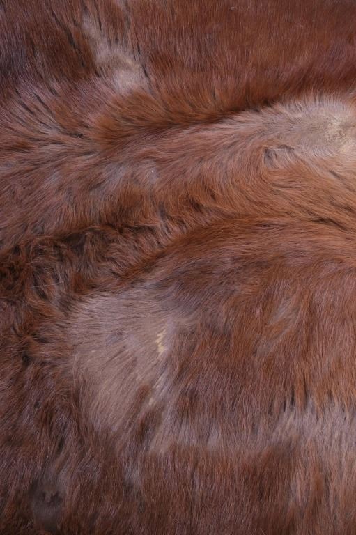 Montana Red Angus Cowhide w/ Felt Back Rug