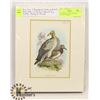 Image 1 : 30+ ORIGINAL LITHOGRAPHED PLATED OF BIRDS,