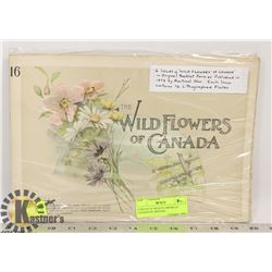 6 ISSUES OF WILD FLOWERS OF CANADA IN ORIGINAL