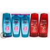 Image 1 : LOT OF SHAMPOO & CONDITIONER FROM LOREAL
