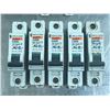 Image 2 : LOT OF MISC. CIRCUIT BREAKER *SEE PICS FOR PARK #*