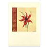 Image 1 : Mindeli, "Del Sol" Original Mixed Media, Hand Signed.