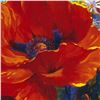 Image 2 : "Your Beauty Lies Within" Limited Edition Giclee on Canvas by Simon Bull, Numbered and Signed. This 
