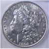 Image 2 : 1904 MORGAN DOLLAR  ICG MS-63