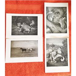 Vintage Grouping of c1920â€™s Half-tone Prints, Animals