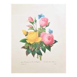 After Pierre-Jospeh Redoute, Floral Print, #127 Rose jaune et de Rose du Bengale (Rose)