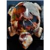 Image 4 : 18ct Carved Mexican Fire Opal, Turtle Sculpture