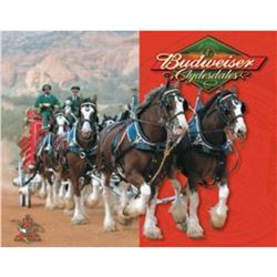 Budweiser - Clydesdales