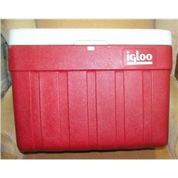 Igloo beach, barbeque or camping cooler