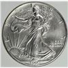 Image 1 : 1995 AMERICAN SILVER EAGLE