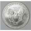 Image 2 : 2007-W AMERICAN SILVER EAGLE