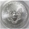 Image 2 : 2013-W AMERICAN SILVER EAGLE