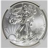 Image 1 : 2014-W AMERICAN SILVER EAGLE