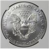 Image 2 : 2015 AMERICAN SILVER EAGLE