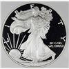 Image 1 : 2007-W AMERICAN SILVER EAGLE