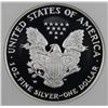 Image 2 : 2007-W AMERICAN SILVER EAGLE