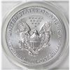 Image 2 : 2013-W AMERICAN SILVER EAGLE