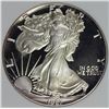 Image 1 : 1987 AMERICAN SILVER EAGLE