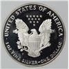 Image 2 : 1993 AMERICAN SILVER EAGLE