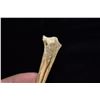 Image 4 : 5 1/8" Bone Awl from Boley Site, Ex Gary Van Dyke,