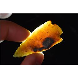 2 1/4" Cypress Creek Point, Florida