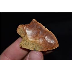 2" Pickwick Point, Marion Co, Florida