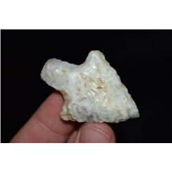 2" Newman Point, Florida