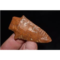 2 3/8" Alachua Point, Florida