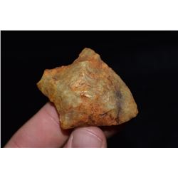 2" Newman Point, Florida