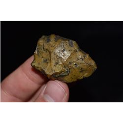 1 5/8" Cowhouse Slough Point, Hillsboro, Florida