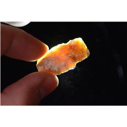 1 1/4" Colorful Florida Point