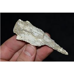 3 7/16" Etley Drill, Miller Co, Missouri, Motley COA