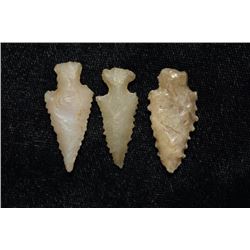 3 Serrated Bird Points, Madison Co, Illinois