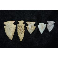 Lot of 5 Bird Points, Largest 1 1/4", Madison Co,