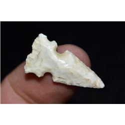 1" Cahokia Point, FB Butch Perring at Crable Site,