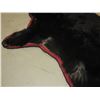 Image 2 : Double Matted Black Bear Rug- Good Condition- Nose To Tail 73"- Across Front Legs 70"