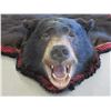 Image 4 : Double Matted Black Bear Rug- Good Condition- Nose To Tail 73"- Across Front Legs 70"
