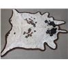 Image 1 : Double Matted Cowhide Rug- 97" L- 92" Across Front Legs- 75" Across Hind Legs- Minor Damage on Edge 