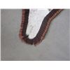 Image 2 : Double Matted Cowhide Rug- 97" L- 92" Across Front Legs- 75" Across Hind Legs- Minor Damage on Edge 