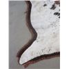 Image 3 : Double Matted Cowhide Rug- 97" L- 92" Across Front Legs- 75" Across Hind Legs- Minor Damage on Edge 