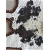 Image 5 : Double Matted Cowhide Rug- 97" L- 92" Across Front Legs- 75" Across Hind Legs- Minor Damage on Edge 