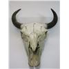 Image 2 : Buffalo Skull- 21"W