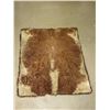 Image 1 : Old Double Matted Cowhide Rug- 72"L X 59"W- Minor Damage on Matting