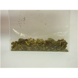 1/4 Troy Ounce Alaskan Placer Gold